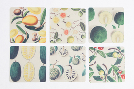 Coasters Set of 6 (Jose Lozano Fruits)- 4.5" x 4.5"
