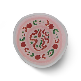 Polychrome Dish With Phoenix Design Magnet