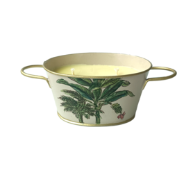 Candle - Oval Botanical Palm 5 x 6 x 3
