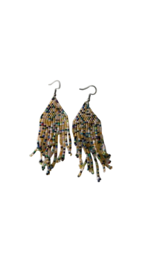 Beaded Dangling Earrings